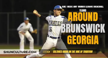 Brunswick, Georgia: Home to Minor League Baseball