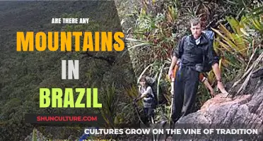 Exploring Brazil's Majestic Peaks: Unveiling the Country's Mountainous Treasures