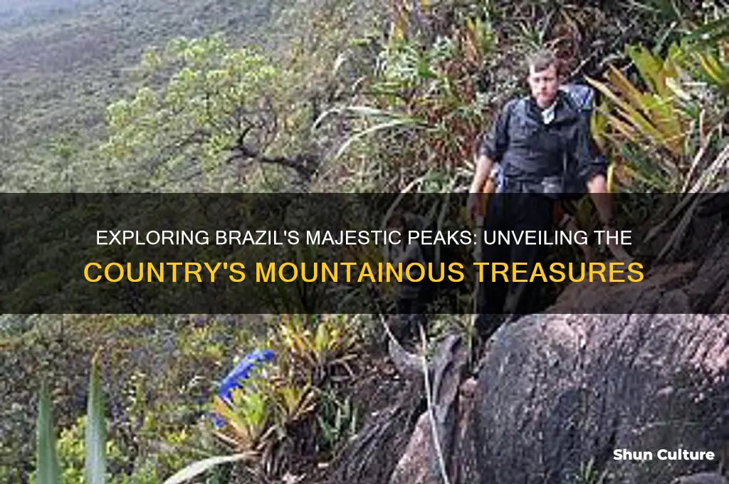 are there any mountains in brazil