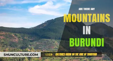 Exploring Burundi's Landscape: A Quest for Mountainous Terrain