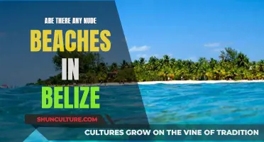 Belize's Nude Beach Scene: What to Know