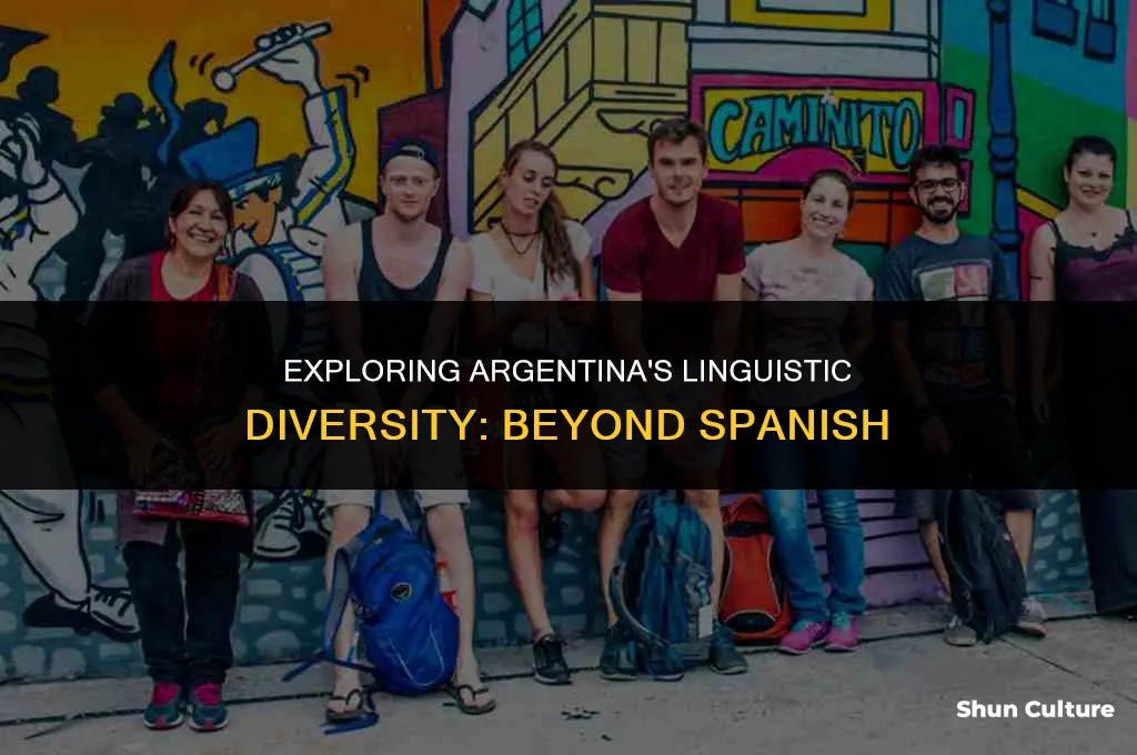 are there any other languages spoken in argentina besides spanish