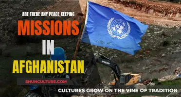 The Complexities of Peacekeeping in Afghanistan: A Challenging Mission