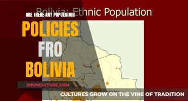 Population Policies in Bolivia: What Are the Current Strategies?