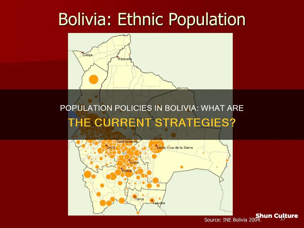 are there any population policies fro bolivia