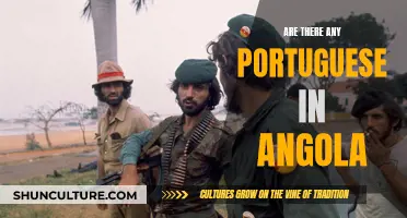 Portuguese Presence in Angola: A Historical Overview