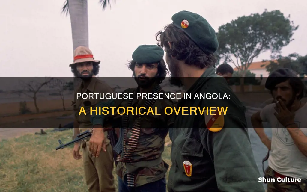 are there any portuguese in angola