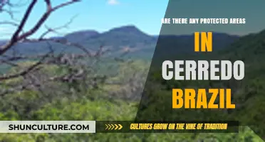Exploring Brazil's Cerredo: Are There Protected Natural Areas?