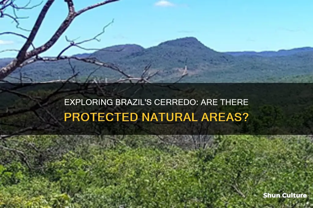 are there any protected areas in cerredo brazil