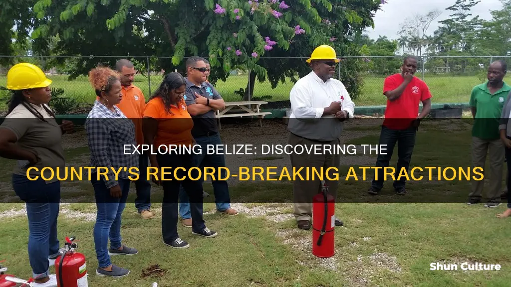 are there any records in belize