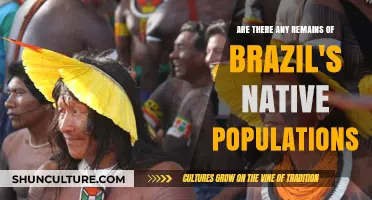 Brazil's Indigenous Legacy: Uncovering the Remains of Native Populations