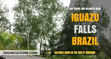 Discover Resorts Near Iguazu Falls Brazil: Your Ultimate Travel Guide