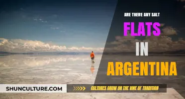 Exploring Argentina's Unique Landscapes: A Guide to Its Salt Flats