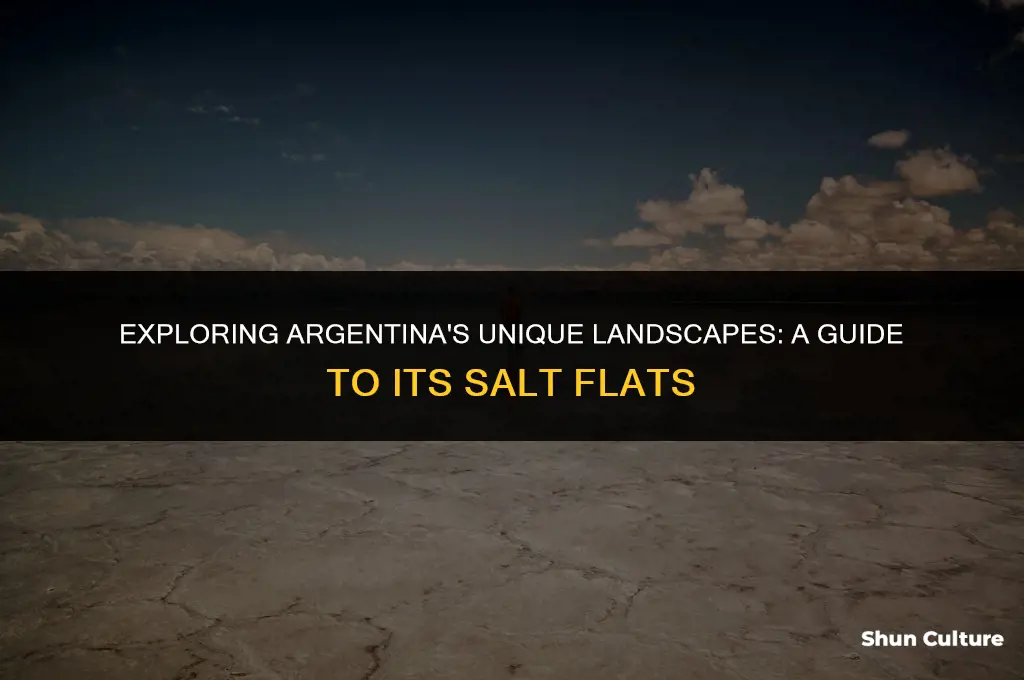 are there any salt flats in argentina