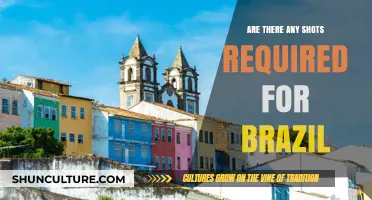 Traveling to Brazil: Essential Vaccination Requirements You Need to Know