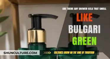 Exploring Shower Gels with a Bulgari Green Essence