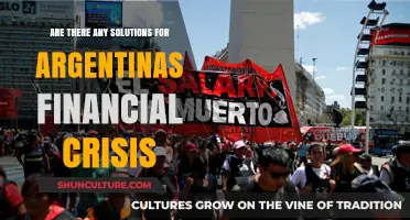 Exploring Pathways to Economic Stability in Argentina