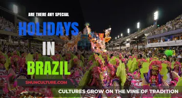 Exploring Brazil's Unique and Vibrant Special Holidays and Celebrations