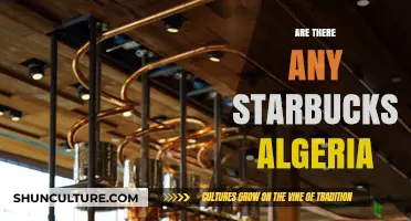 Exploring Starbucks Presence: Is There a Starbucks in Algeria?
