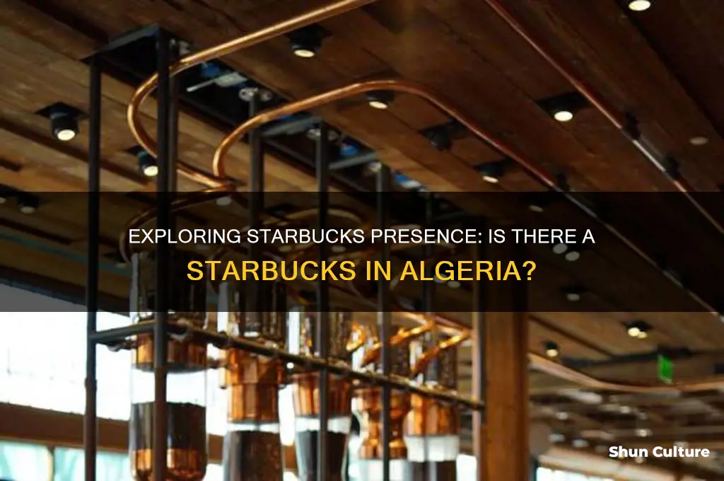are there any starbucks algeria