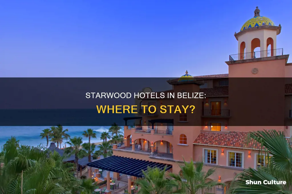 are there any starwood hotels in belize