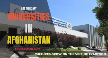 **Academic Havens in Afghanistan: Exploring the Country's Universities** 