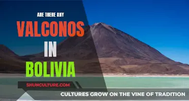 Exploring Bolivia's Volcanic Landscape: A Guide