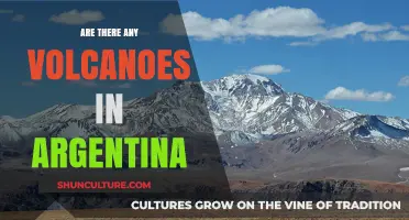 Exploring Argentina's Volcanic Wonders: A Geothermal Journey