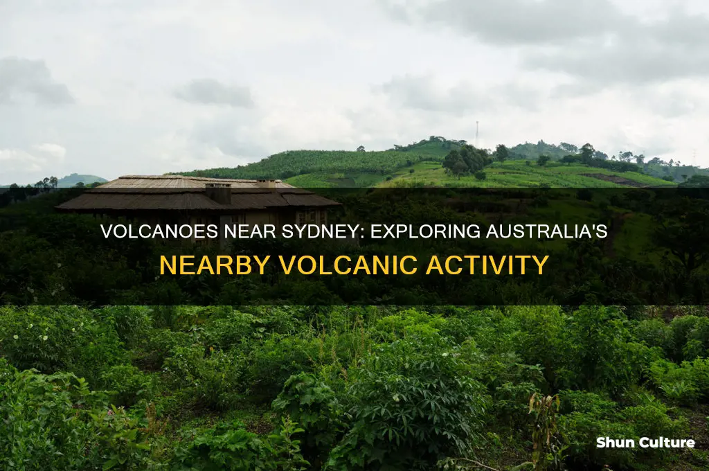 are there any volcanoes near australia sydney