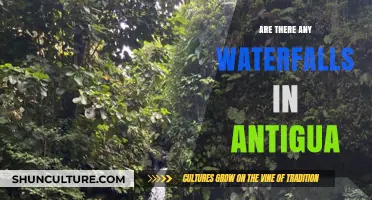 Discovering Antigua's Hidden Gems: Are There Waterfalls on the Island?