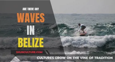 Belize's Waves: A Surfer's Paradise?