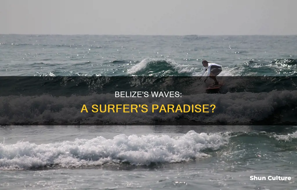 are there any waves in belize