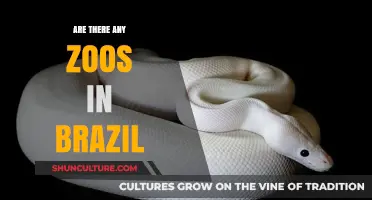 Exploring Brazil's Wildlife: Are There Zoos in the Country?