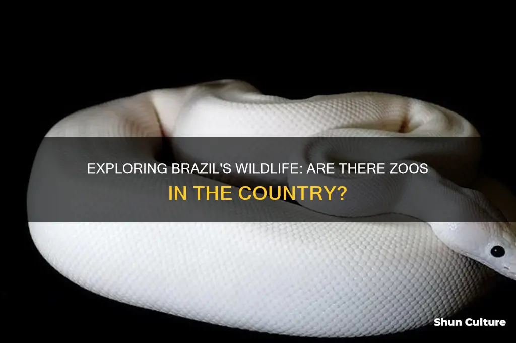 are there any zoos in brazil