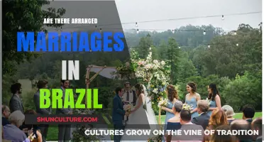 Arranged Marriages in Brazil: Tradition, Modernity, and Cultural Insights