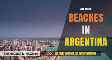 Exploring Argentina's Coastal Wonders: A Beach Lover's Guide