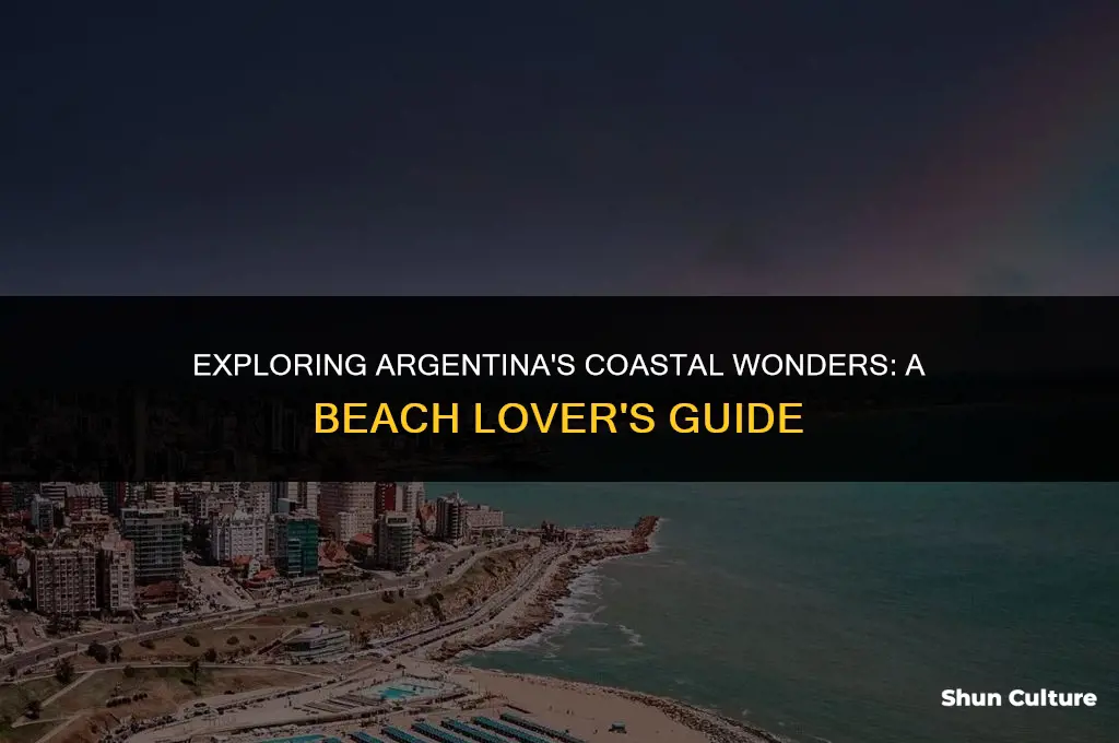 are there beaches in argentina