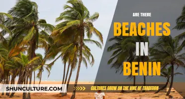 Exploring Benin's Coastal Beauty: A Guide to Its Stunning Beaches