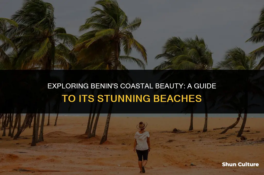 are there beaches in benin