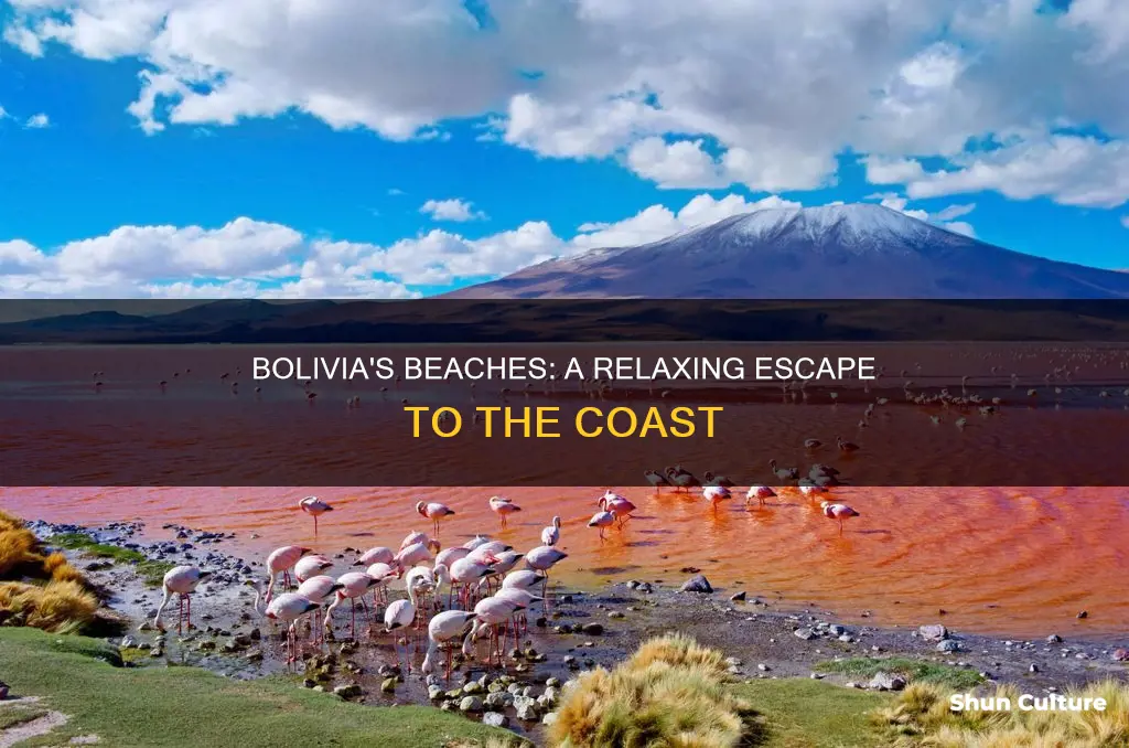 are there beaches in bolivia