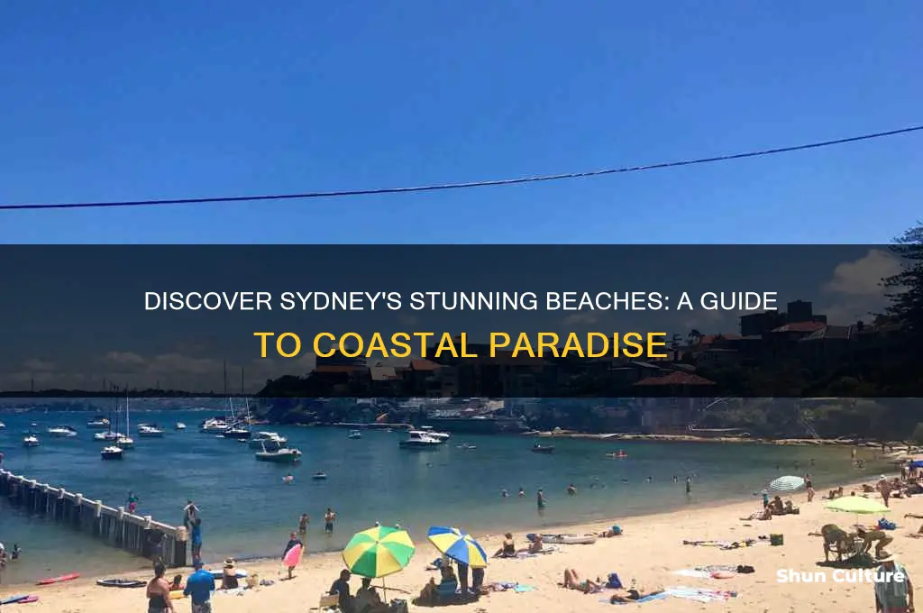 are there beaches in sydney australia