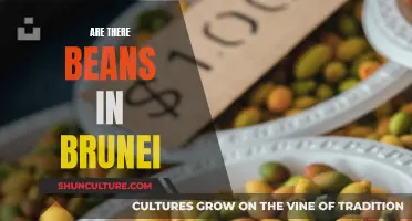 Brunei's Bean Scene: A Culinary Adventure