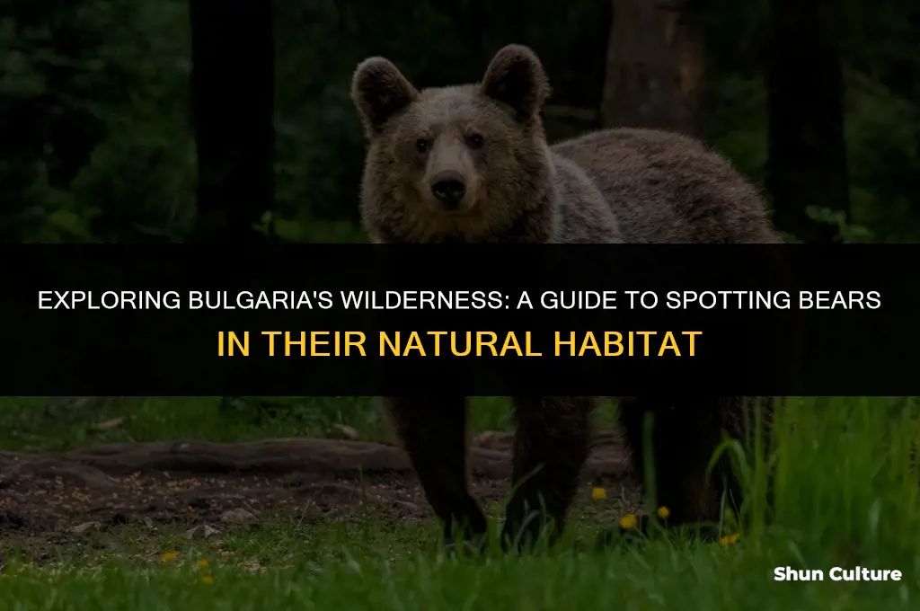 are there bears in bulgaria