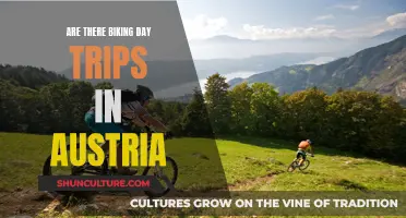 Exploring Austria's Best Day-Trip Cycling Trails