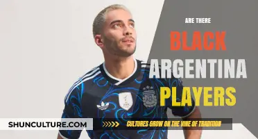 Exploring Diversity: Black Players in Argentine Soccer