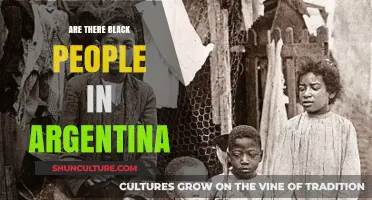 Exploring Diversity: The Presence of Black Communities in Argentina