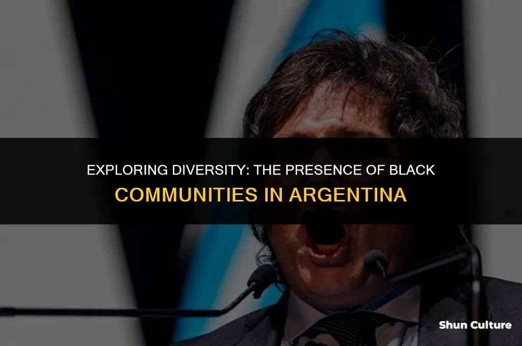 are there black people in argentina