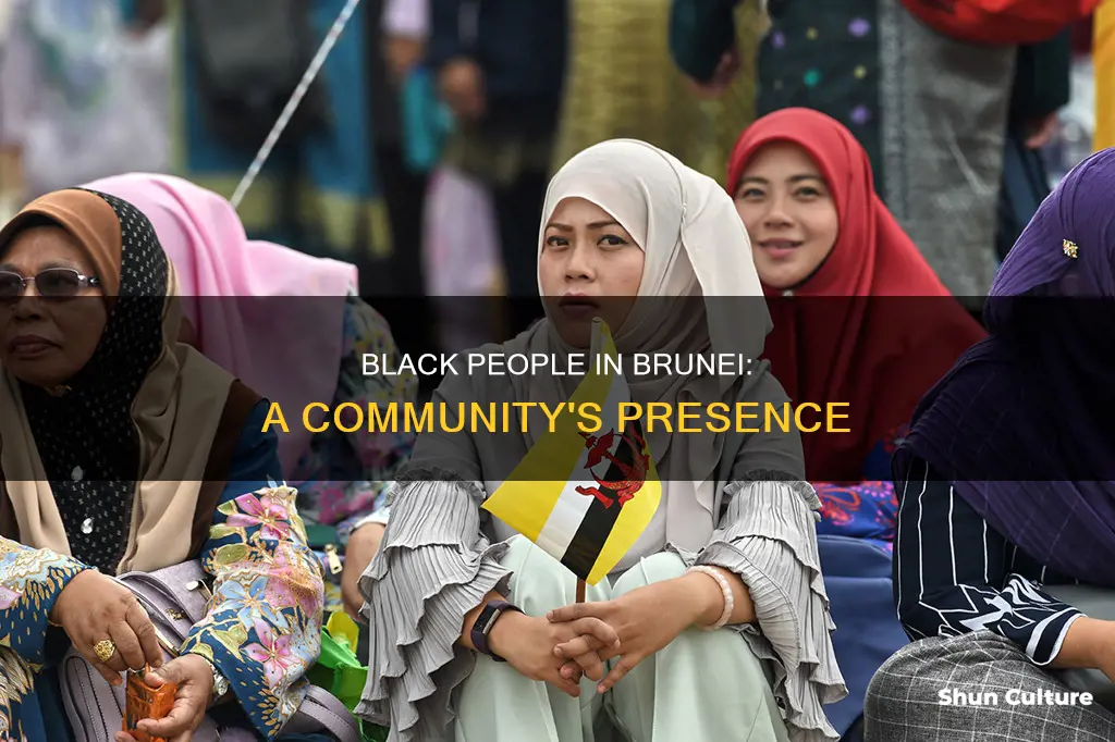 are there black people in brunei