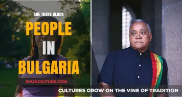 Exploring Diversity: The Presence of Black Communities in Bulgaria