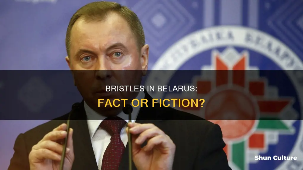 are there brestles in belarus